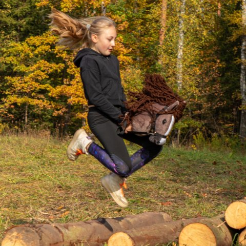 Hobby horse zabawka dla dziewczynki konik kiju A3