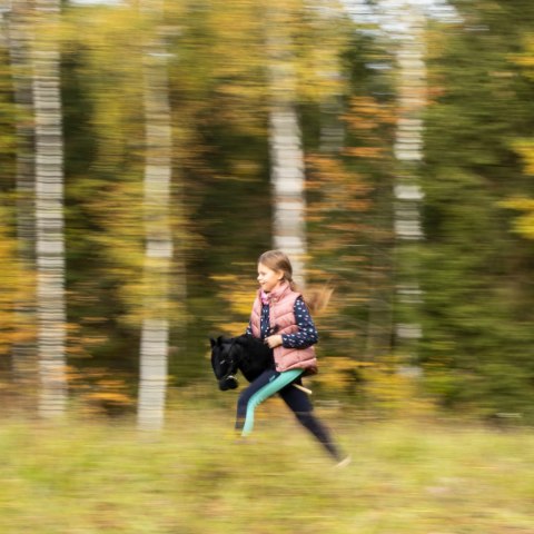 Hobby horse zabawka dla dziewczynki konik kiju A3