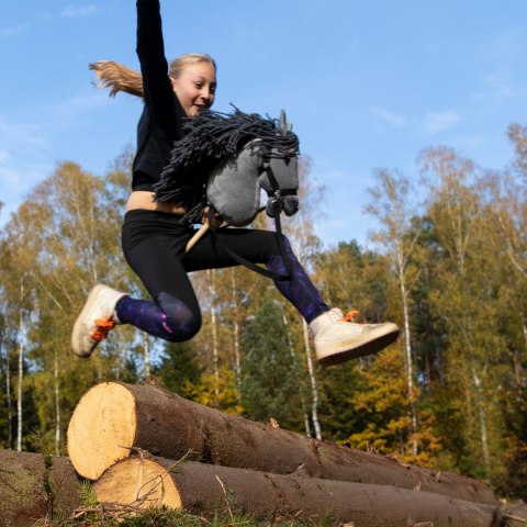 Hobby horse zabawka dla dziewczynki konik kiju A3