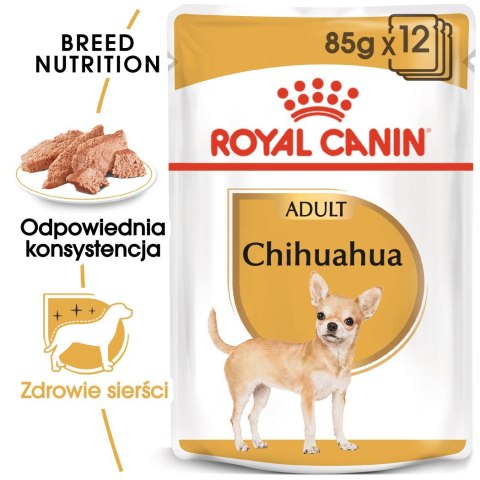 ROYAL CANIN BHN Chihuahua Adult - mokra karma dla psa dorosłego - 12x85g