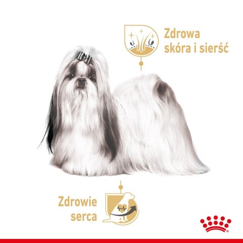 ROYAL CANIN BHN Shih Tzu Adult w formie pasztetu - mokra karma dla psa dorosłego - 12x85g