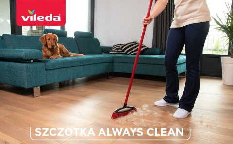 Wkład do szczotki do sierści i włosów Vileda Always Clean PET PRO