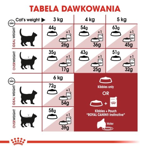 ROYAL CANIN FHN Regular Fit 32 - sucha karma dla kota dorosłego - 400 g