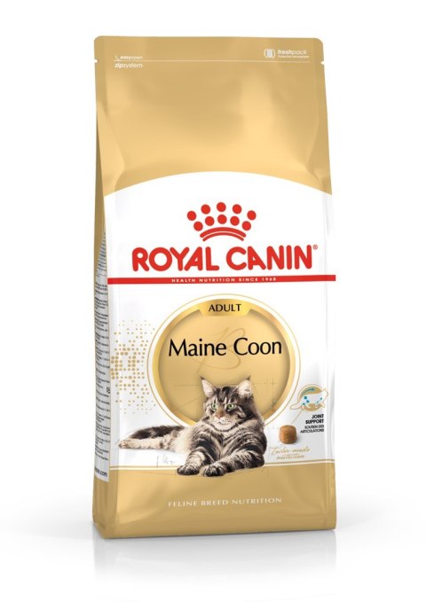 Royal Canin FBN Maine Coon Adult - sucha karma dla kota dorosłego - 4kg