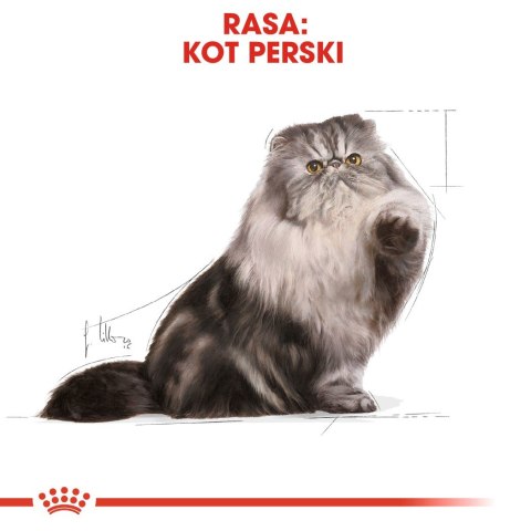 ROYAL CANIN FBN Persian Adult - sucha karma dla kota dorosłego - 10 kg