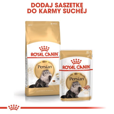 ROYAL CANIN FBN Persian Adult - sucha karma dla kota dorosłego - 10 kg