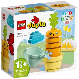 LEGO DUPLO My First 10981 Rosnąca marchewka