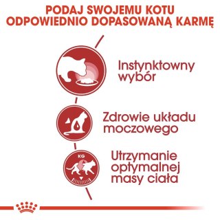 ROYAL CANIN FHN Instinctive w galaretce - mokra karma dla kota dorosłego - 12x85g