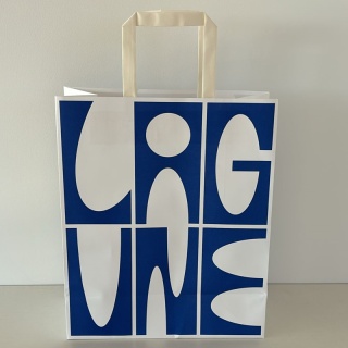 Torba Papierowa V0004-02, Niebiesko-Biała