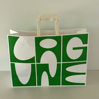 Torba Papierowa V0004-02, Zielono-Biała