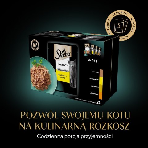 SHEBA Delicacy in Jelly Smaki Drobiowe - mokra karma dla kota - saszetka - 12x85 g