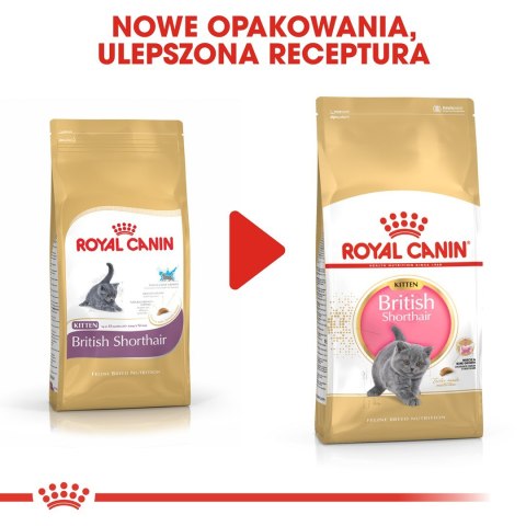 Royal Canin FBN British Shorthair Kitten - sucha karma dla kociąt - 2 kg