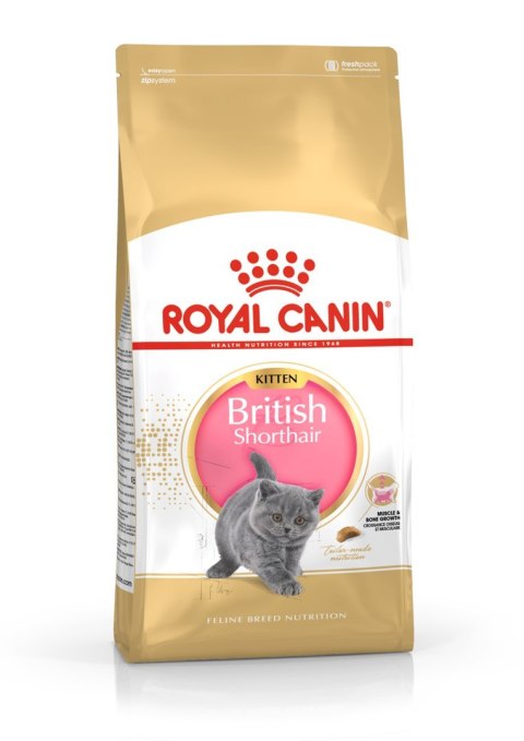 Royal Canin FBN British Shorthair Kitten - sucha karma dla kociąt - 2 kg