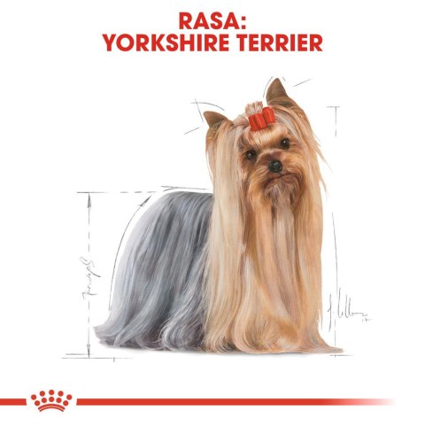 ROYAL CANIN BHN Yorkshire Terrier Adult - sucha karma dla psa - 3 kg