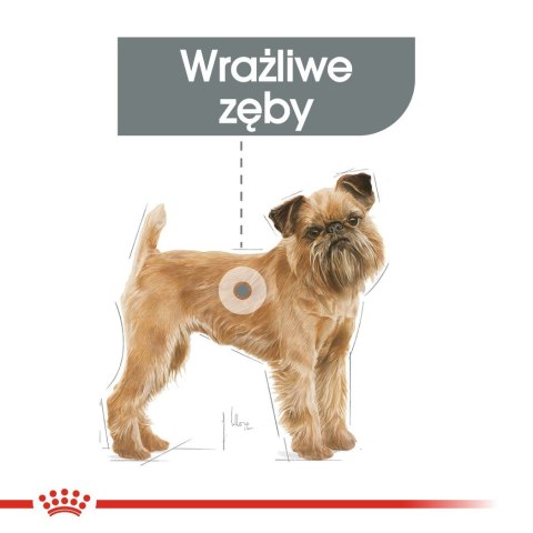 ROYAL CANIN CCN Mini Dental Care - sucha karma dla dorosłych psów - 3 kg