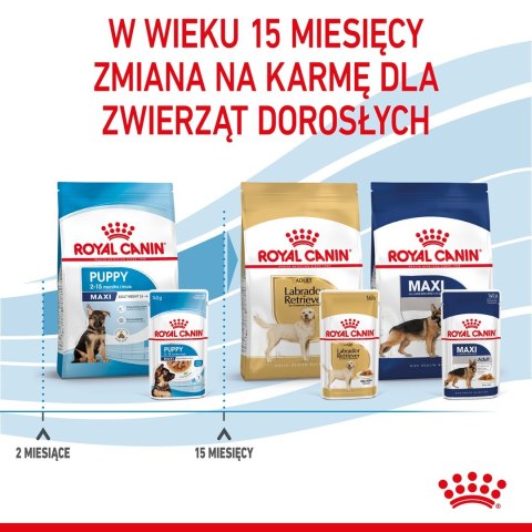 ROYAL CANIN SHN Maxi Puppy w sosie - mokra karma dla szczeniąt - 10x140 g