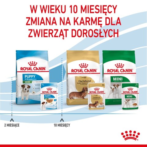 ROYAL CANIN SHN Mini Puppy w sosie - mokra karma dla szczeniąt - 12X85 g