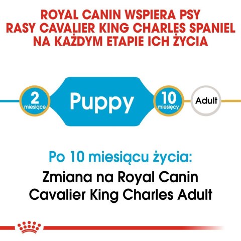 ROYAL CANIN BHN Cavalier King Charles Spaniel Puppy - sucha karma dla szczeniąt - 1,5 kg