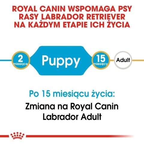 ROYAL CANIN BHN Labrador Retriever Puppy - sucha karma dla szczeniąt - 3kg