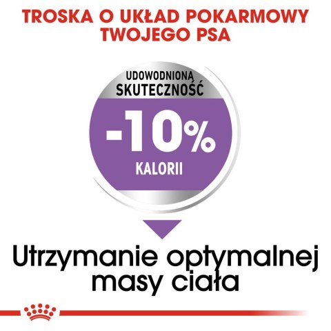 ROYAL CANIN CCN Medium Sterilised - sucha karma dla psa dorosłego - 3kg