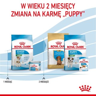 ROYAL CANIN SHN Mini Starter Mother & Babydog - sucha karma dla psa - 4 kg