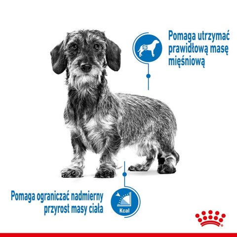 Royal Canin CCN MINI LIGHT WEIGHT CARE - sucha karma dla psa dorosłego - 3kg