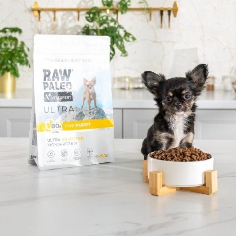 VetExpert Raw Paleo Ultra Indyk Mini Puppy 2kg