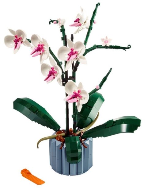 LEGO Icons 10311 Orchidea