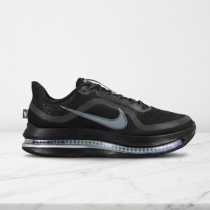 Buty Nike Pegasus Premium Black Metallic na co dzień
