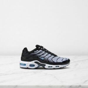 Buty męskie Nike Air Max Plus, czarno szare, siateczkowe, wygodne na co dzień, amortyzacja Max Air DM0032-042